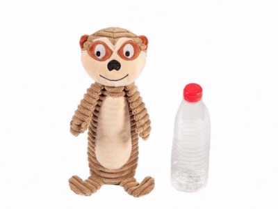 Merle le Suricate