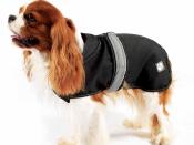 Ultimate Manteau 2 en 1 