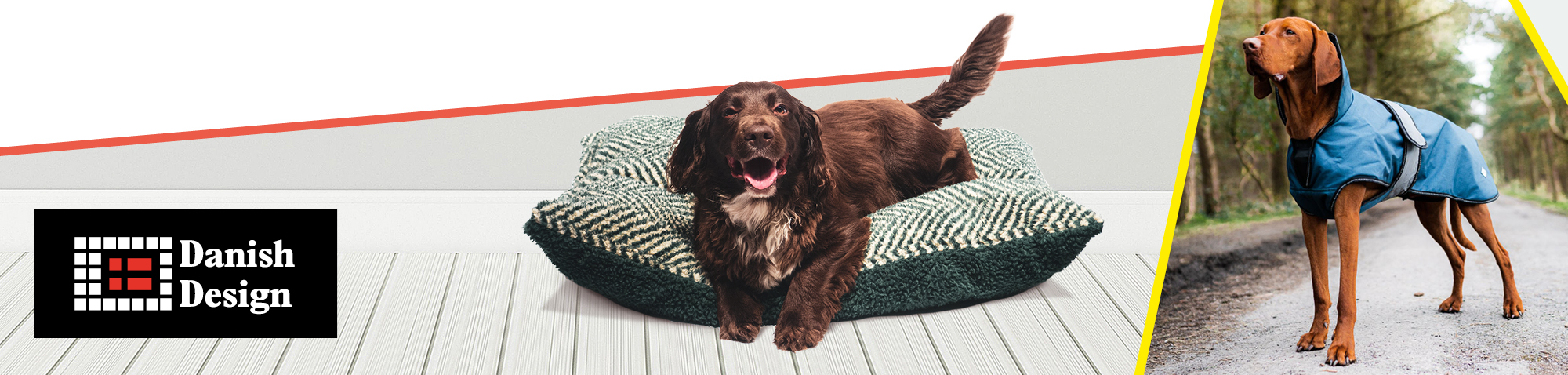 Chien sur un coussin 